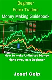 Beginner Forex Traders Money Making Guidebook (Paperback)