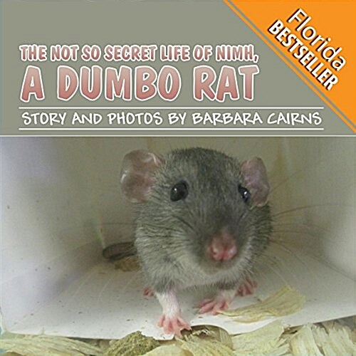 The Not So Secret Life of NIMH, a Dumbo Rat (Florida Bestseller) (Paperback)