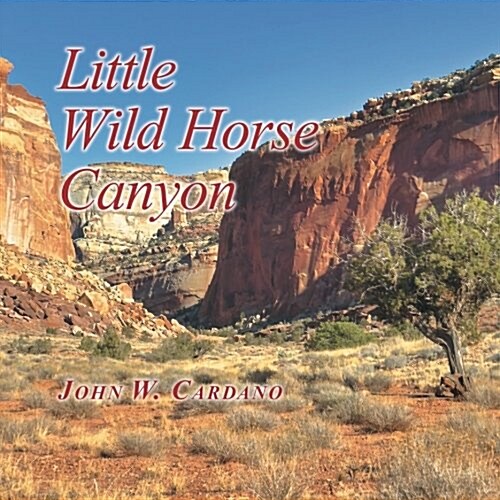 Little Wild Horse Canyon (Paperback)