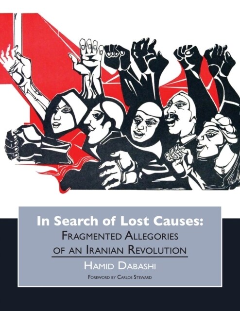 In Search of Lost Causes (Paperback)