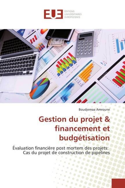 Gestion Du Projet Financement Et Budg?isation (Paperback)