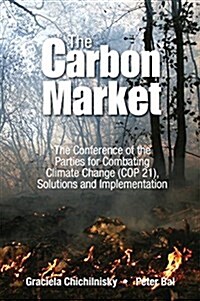 Reversing Climate Change (Paperback)