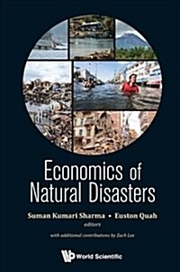 Economics of Natural Disasters (Hardcover)