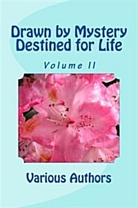 Drawn by Mystery, Destined for Life: More Reflections on the Nairobi Chapter Document (Paperback)
