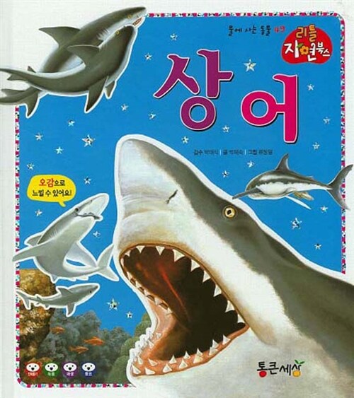 [중고] 상어
