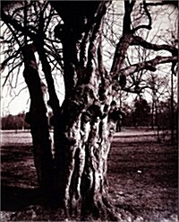 Eugene Atgets Trees (Hardcover, BOX)