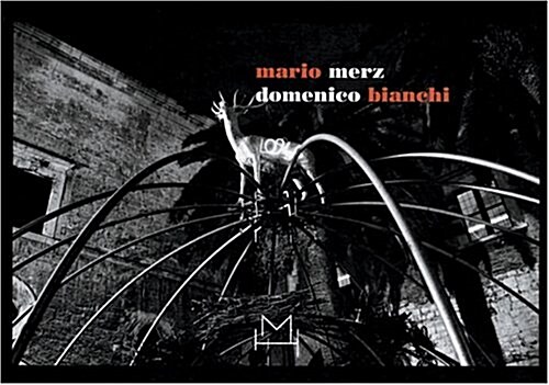 domenico Bianchi (Hardcover, Multilingual)