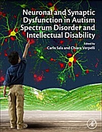 Neuronal and Synaptic Dysfunction in Autism Spectrum Disorder and Intellectual Disability (Hardcover)