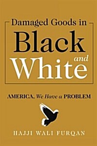 Damaged Goods in Black and White: America, We Have a Problem (Paperback)