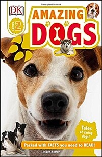 DK Readers L2: Amazing Dogs: Tales of Daring Dogs! (Paperback)