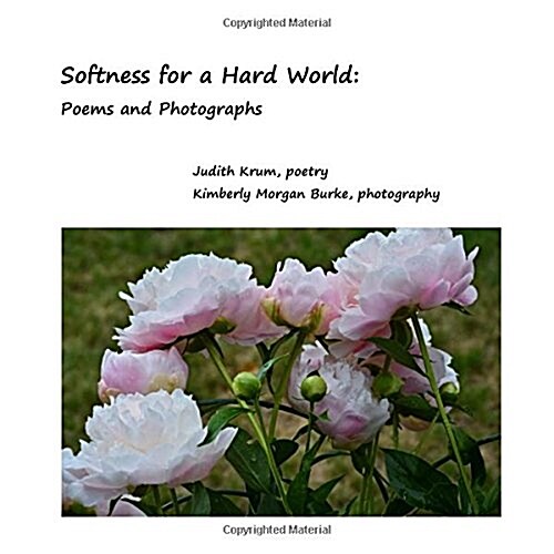 Softness for a Hard World: Poems and Photographs (Paperback)