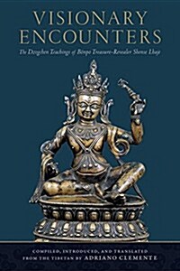 Visionary Encounters: The Dzogchen Teachings of B?po Treasure-Revealer Shense Lhaje (Paperback)