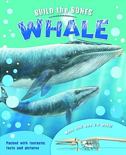 Build the Bones: Whale [With 3-D Model] (Hardcover)