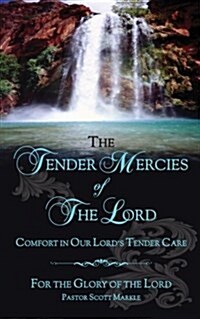 The Tender Mercies of the Lord: Comfort in Our Lords Tender Care (Paperback)