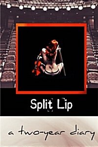 A Two-Year Diary: Selected Works from Split Lip Magazine (Paperback)