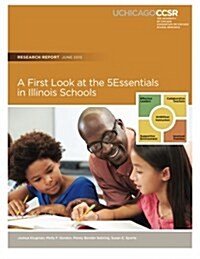A First Look at the 5essentials in Illinois Schools (Paperback)