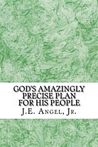 Gods Amazingly Precise Plan for His People (Paperback)