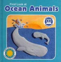 First Look at Ocean Animals (Board Book)