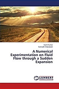 A Numerical Experimentation on Fluid Flow Through a Sudden Expansion (Paperback)