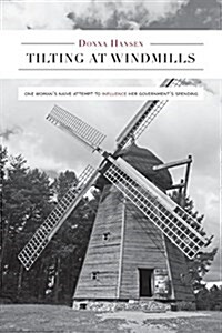 Tilting at Windmills - One Womans Naive Attempt to Influence Her Governments Spending (Paperback)