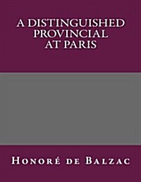A Distinguished Provincial at Paris (Paperback)