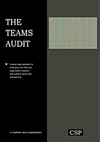 The Teams Audit (Paperback)