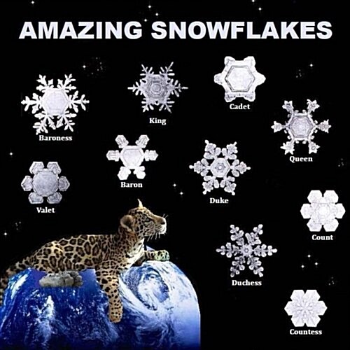 Amazing Snowflakes (Paperback)
