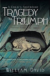 A Childs Adventure: Tragedy to Triumph (Paperback)