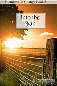 Into the Sun (Paperback)