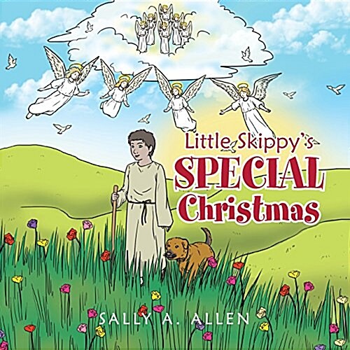 Little Skippys Special Christmas (Paperback)