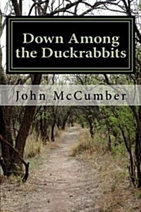 Down Among the Duckrabbits: Lessons from a Life in Philosophy (Paperback)