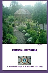 Financial Reporting: Reporting (Paperback)