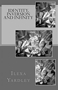 Identity, Inversion and Infinity (Paperback)