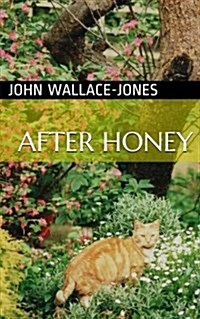 After Honey (Paperback)