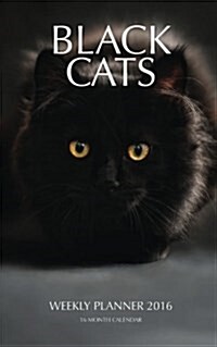 Black Cats Weekly Planner 2016: 16 Month Calendar (Paperback)