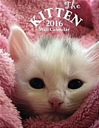 The Kitten 2016 Wall Calendar (UK Edition) (Paperback)