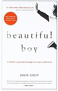 Beautiful Boy: A Fathers Journey Through His Sons Addiction (Prebound)