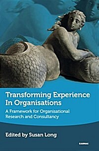 Transforming Experience in Organisations : A Framework for Organisational Research and Consultancy (Paperback)