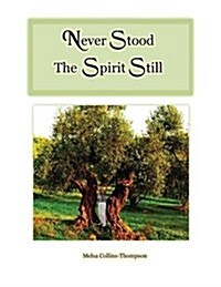 Never Stood the Spirit Still (Paperback)