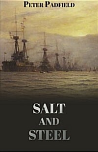 Salt and Steel (Paperback)