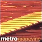 [수입] Grapevine