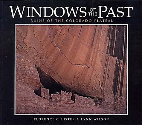 Windows of the Past (Paperback)