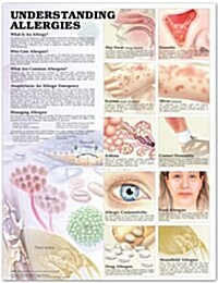 Understanding Allergies Chart (Chart, 1st)