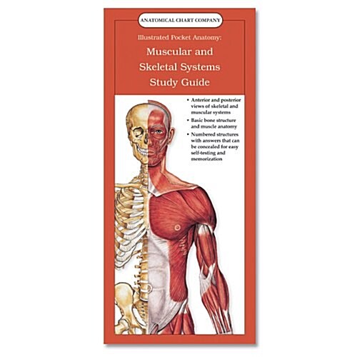 Illustrated Pocket Anatomy: Muscular And Skeletal Systems Study Guide (Chart)