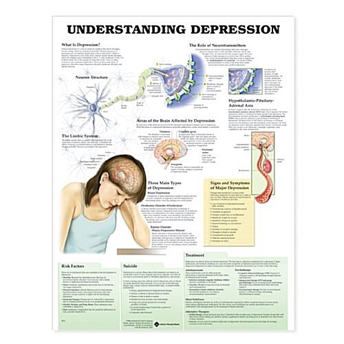 Understanding Depression Chart (Chart, 1st)