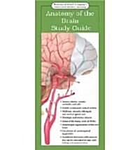 Illustrated Pocket Anatomy (Chart, LAM)