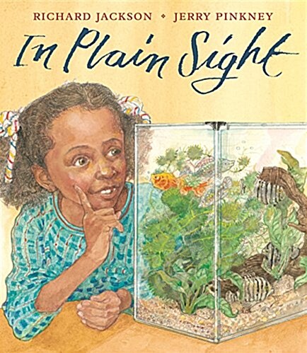 In Plain Sight: A Game (Hardcover)