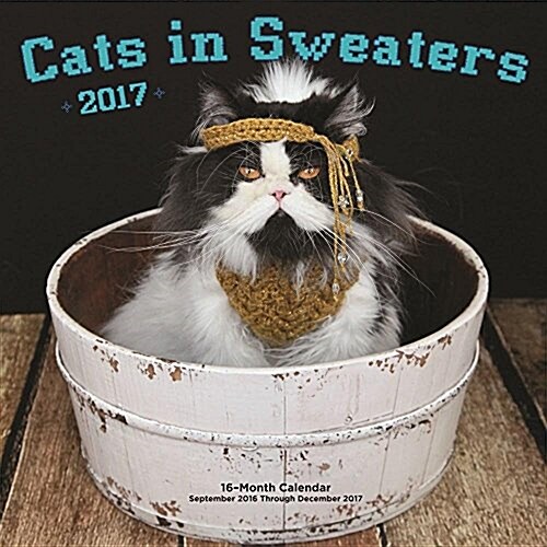 Cats in Sweaters 2017: 16-Month Calendar September 2016 Through December 2017 (Other)