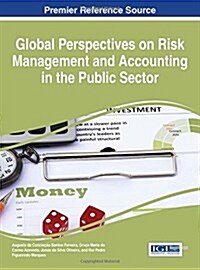 Global Perspectives on Risk Management and Accounting in the Public Sector (Hardcover)