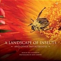 A Landscape of Insects: And Other Invertebrates (Hardcover)